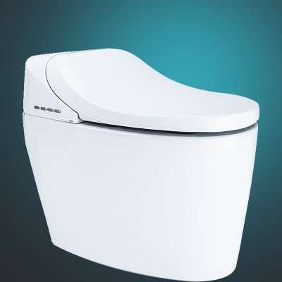 JENYS intelligent smart toilet with bidet and dryer that washes and dries you with built in bidet