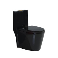 Fannisi design hot sale Style noble Never fade ceramics sanitary wares black Colour  toilets