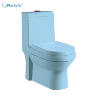 Sanitary ware bathroom sitting wc blue colour toilet